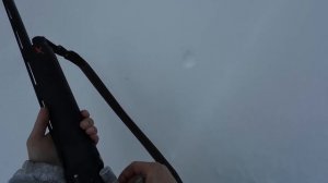 ПЕРВЫЙ ГЛУХАРЬ С НОВОГО РУЖЬЯ АТА НЕО Х / ОХОТА НА ГЛУХ?