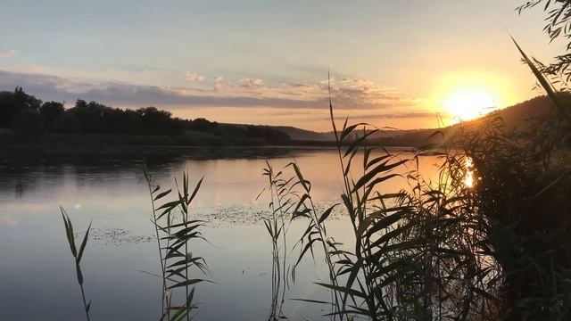УТРЕННЯЯ РЫБАЛКА НА ПОПЛАВОК | ЛОВЛЯ КАРАСЯ смотреть онлайн