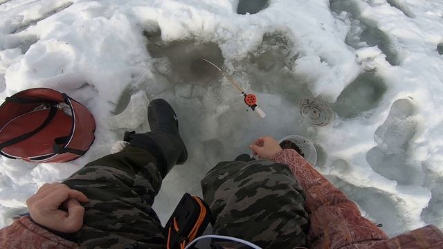 зимняя рыбалка 2021 ловля плотвы на мормышку в январе смотреть онлайн