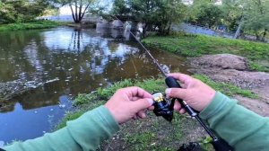 Мормышинг/ Уловистая муха с али экспресс