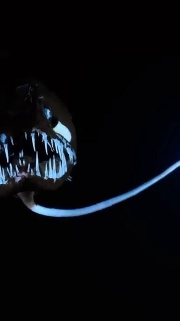 Как работает удочка у удильщиков смотреть онлайн