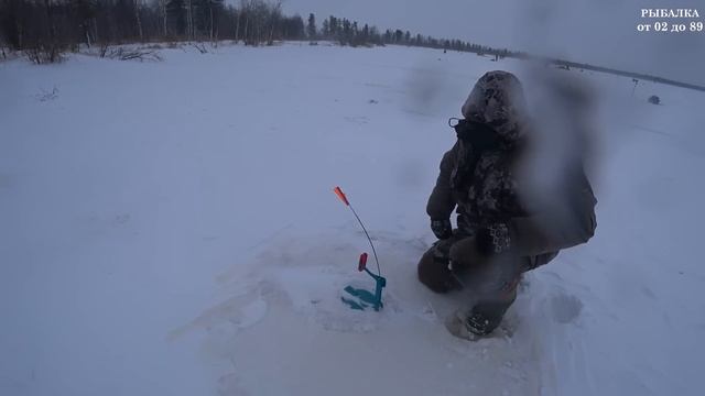 Возвращение на первый лёд 2024-2025! Щука осталась в нашем