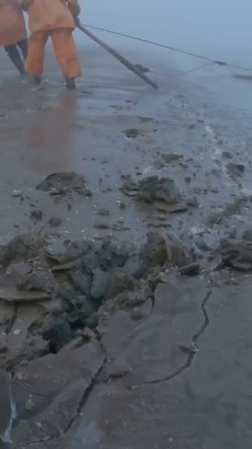 📍Промысловая рыбалка на Крайнем Севере