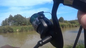 Ловля карпа на поплавочную удочку. Рыбалка на платник?