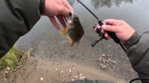 GAMAKATSU LUXXE YOIHIME SOU S63UL-SOLID | ПЕРВОЕ ЗНАКОМСТВО | С ЯПОНЦЕМ З?