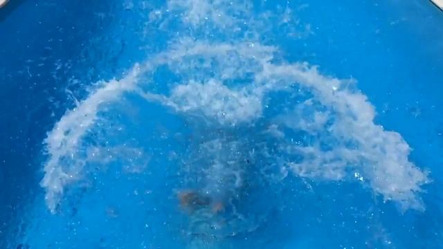 Юра прыгает в бассейн смотреть онлайн