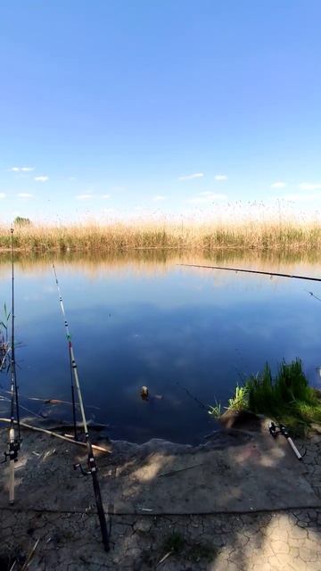 Рыбалка на Миусе #николаевка #рыбалка 02.05.24 смотреть онлайн
