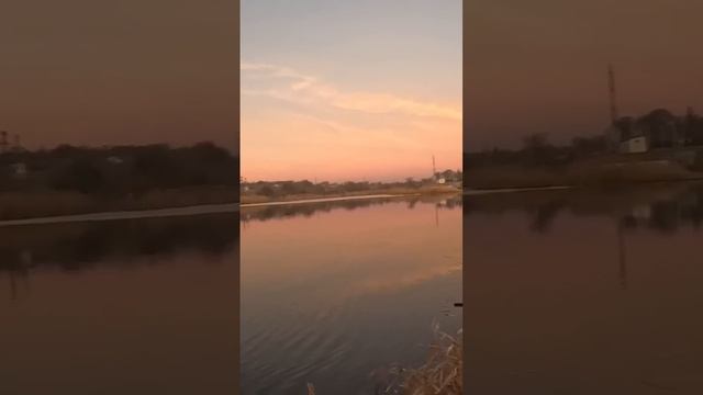 Самая большая рыба ПАРОВОЗ_микро джиг БОМЬА #рыба #рыб? смотреть онлайн