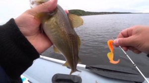 Рыбалка на зимнем берегу. Белое море. Треска.