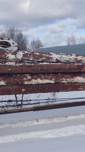 Лес для Срубов домов и бань из цельного бревна без сты смотреть онлайн