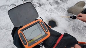 НЕ покупай эхолот CALYPSO FFS-02 Comfort + пока не посмотришь эту