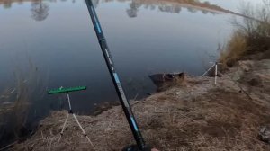 ЛОВЛЯ СЫРТИ НА ФИДЕР НА РЕКЕ ЛУГА | РЫБАЛКА С НОЧЕВКОЙ ?