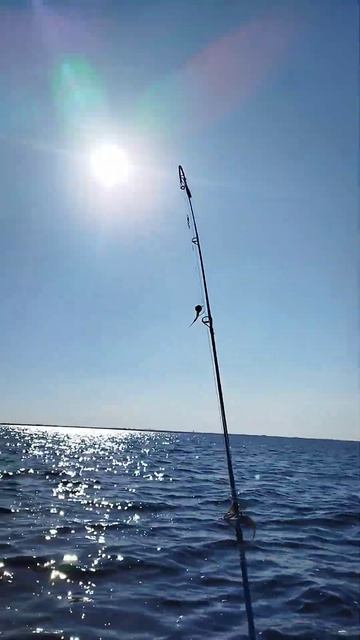 #рыбалка #едем смотреть онлайн