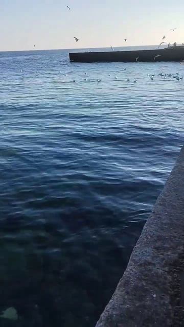 Одесса⚓ #уЧерногоМоря✨Январь 2025