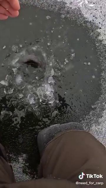 коли зловив карася смотреть онлайн