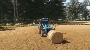 Farming Simulator 22 / Грузим тюки соломы и отвозим в коровник н?