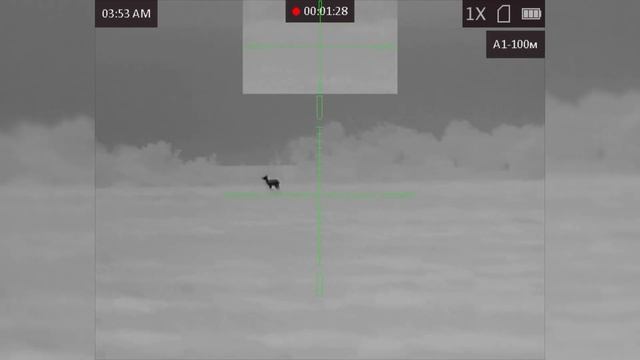 Терпение и фарт… Летняя охота на самца косули смотреть онлайн