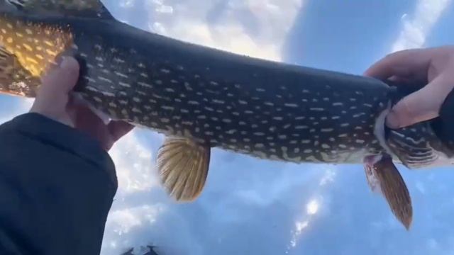 Рыбалка в Карелии. смотреть онлайн