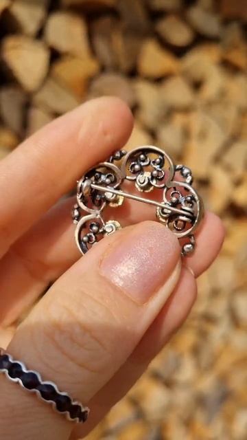 Выразительная серебряная брошь с пылающими природным смотреть онлайн