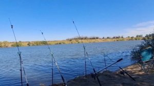 РЫБАЛКА И ОТДЫХ НА АХТУБЕ В СЕНТЯБРЕ 2024!!! ЧАСТЬ 2!!!