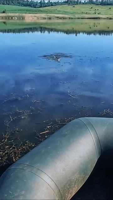 ЛОВЛЯ ПЛОТВЫ НА ПОПЛАВОЧНУЮ УДОЧКУ #плотва #поплавок #?