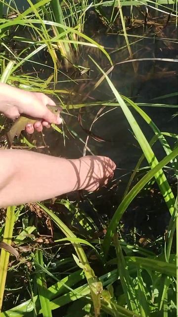 6 августа 2024 г. смотреть онлайн