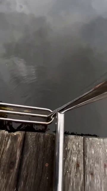 Как быстро похудеть в домашних условиях тг канал telowow1 смотреть онлайн