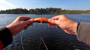 Ловля щуки на бигбейты.Джерки помогли уйти от нуля.