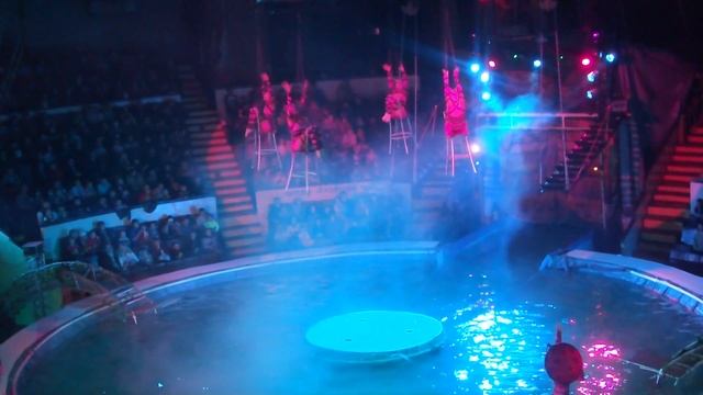 Цирк на воде:)