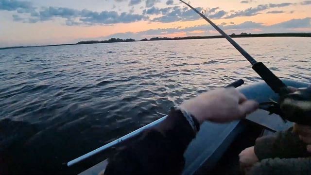 Рыбалка на Щуку с большими приманками (Big-baits) Miuras mouse, Bul смотреть онлайн