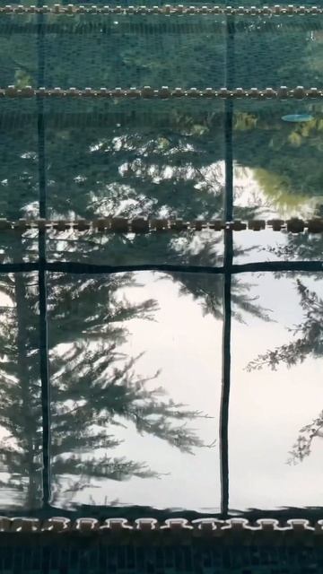 🏊♂️Бассейн в санатории «Форос» — место полного по смотреть онлайн