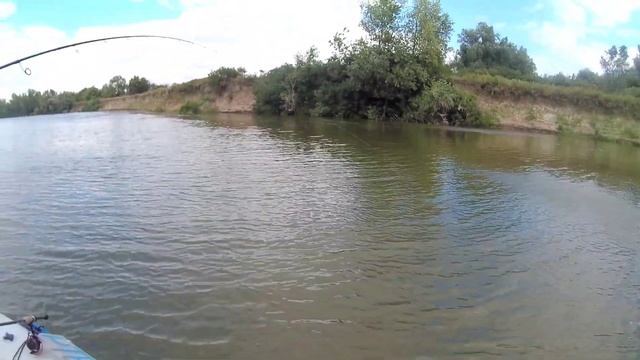 Рыбалка в Астрахани ,июль 2024 смотреть онлайн