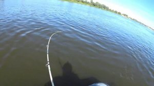 Рыбалка начало сентября,Троллинг в два спиннинга