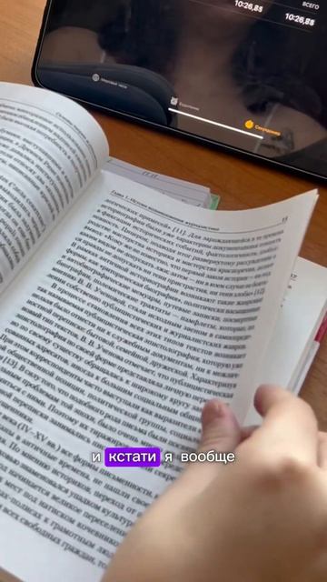 Есть история со словом «конспект»? #student #привычки #рек смотреть онлайн