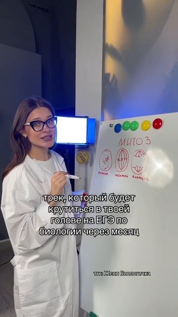 Это в твоей голове!😂Залетай в тренажер по всей анатом смотреть онлайн
