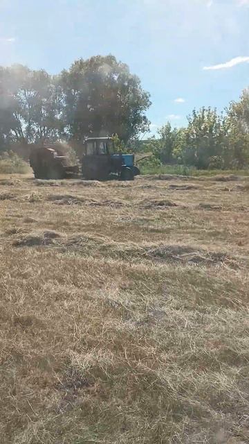 Согребаем и сразу прессуем на двух МТЗ #мтз82 #мтз50 #сел? смотреть онлайн