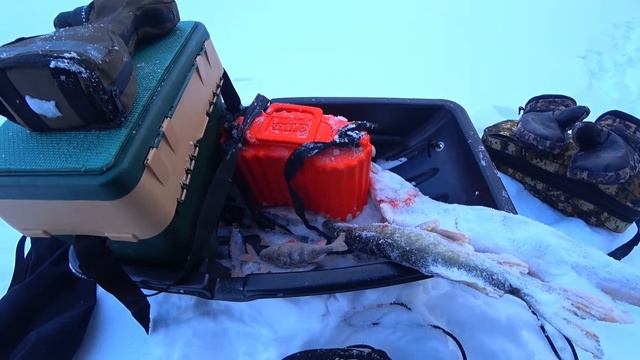 ВОТ ЭТО МЕСТО! НЕ ЗРЯ СЮДА ПОЕХАЛ! РЫБА КЛЮЁТ И ДУША ПОЁ смотреть онлайн