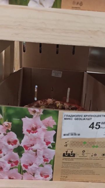 ЛЕРУА МЕРЛЕН. Луковицы гладиолусов и корневища ирисов смотреть онлайн