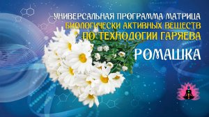 Ромашка 🔊 программа матрица по технологии Гаряева П.П ☀️ SoftRadio.ru