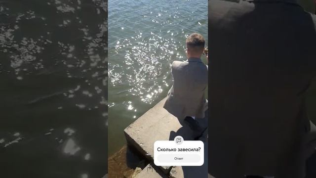 Трофей в центре Минска! #рыбалка #рыба #щука #Минск #streetf смотреть онлайн