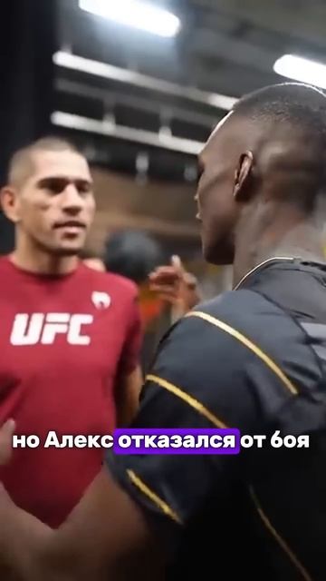 АЛЕКС ПЕРЕЙРА БОИТСЯ МАГОМЕДА АНКАЛАЕВА? #юфс #мма #бой смотреть онлайн