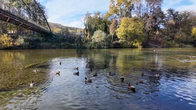 ГОРЯЧИЙ КЛЮЧ – САМЫЙ ПОЛЕЗНЫЙ ГОРОД | ДАЙ ПЯТЬ! | выпус?