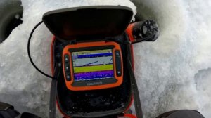 РЫБАЛКА с эхолотом Calypso на мелководье. Годный ЛАЙФХАК ?