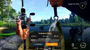 Облов реки Днепр | Fishing Planet 2025