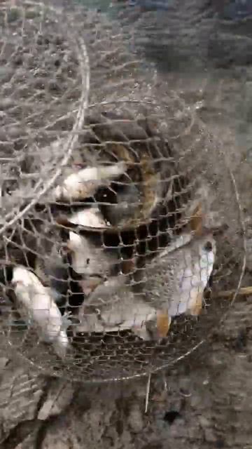 Кокозек 3 озеро