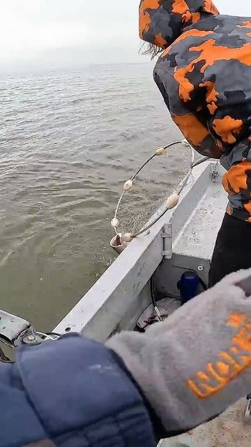 Заметил приманку и слопал!😁 #fishing #рыбалка #рыбак #джиг смотреть онлайн