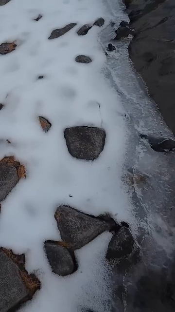 Мечта рыбака! #рыбалка смотреть онлайн