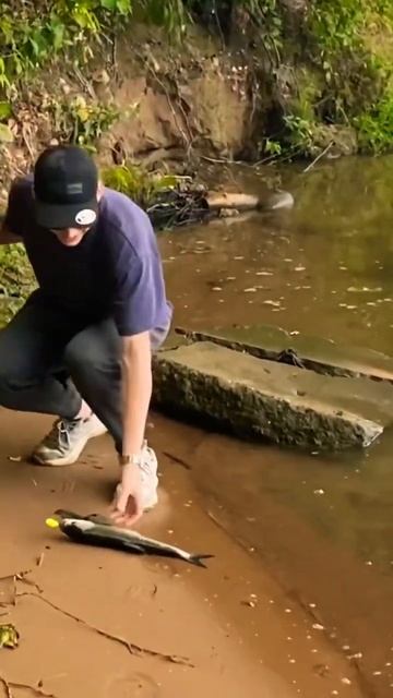 Жерех на ЛАЙТОВЫЙ спиннинг🤩💪🏼 смотреть онлайн