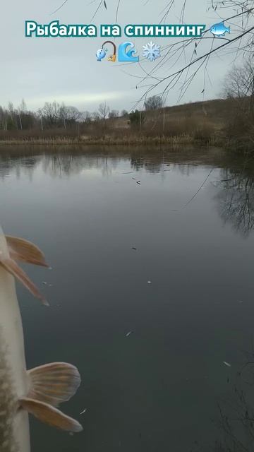 РЫБАЛКА на СПИННИНГ 🎣🐟 природа 🐟🌊 отдых 🏡 лес 🌲? смотреть онлайн