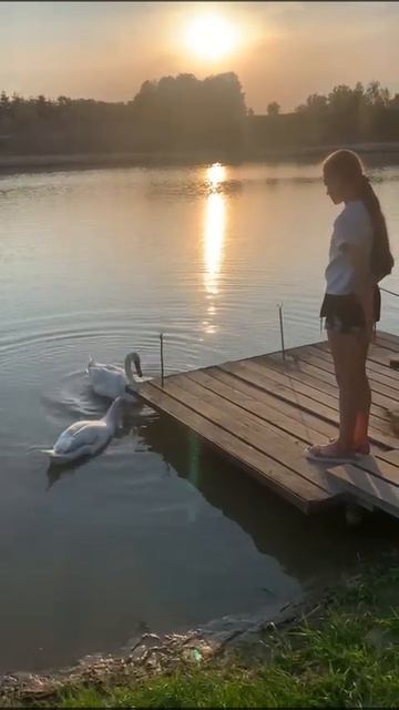 Закат в Калужской области. смотреть онлайн